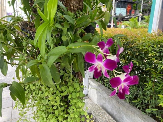 דירות בנגקוק Vivi Avenue Thonglor מראה חיצוני תמונה